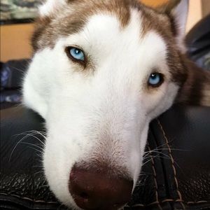 Meet your Posher, Fred